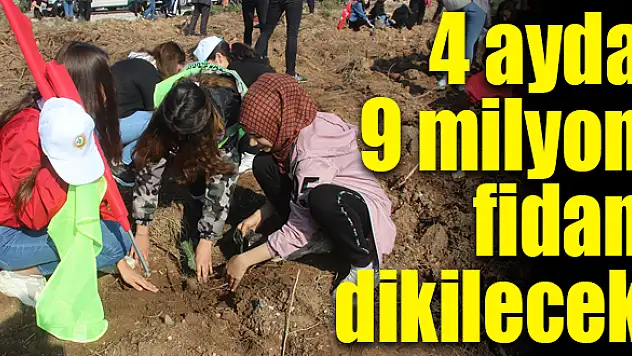 En kapsamlı ağaçlandırma projesi