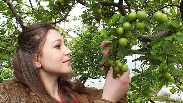 Erken canı çekenin cebi yanacak