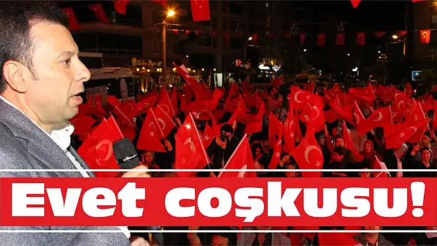 Evet coşkusu