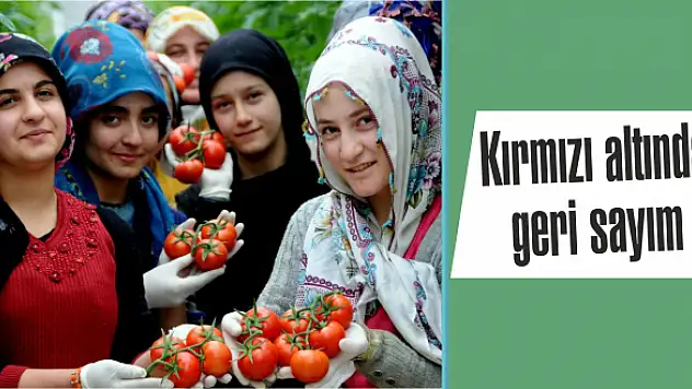 Fabrikalar hesaplarını yaptı