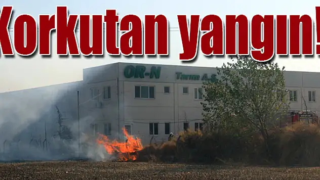 Facianın eşiğinden dönüldü