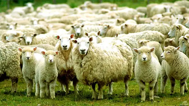 Fakıbaba: Fiyatları yükseltmek isteyen fırsatçılara izin verilmeyecek