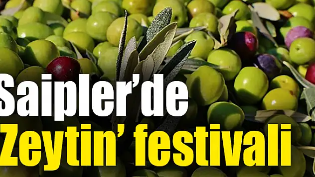 Festival 3 Kasım’da