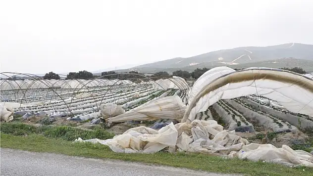 Firtinaya teslim olduk