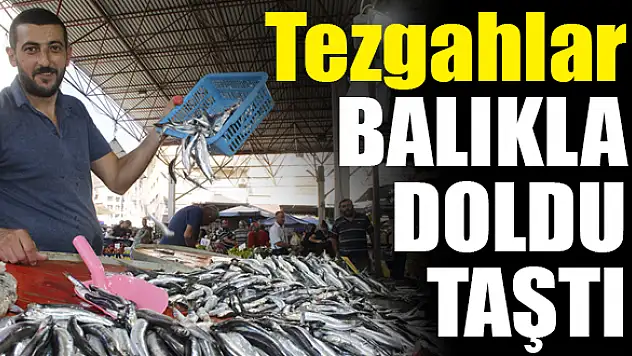 Fiyatlar yarı yarıya düştü