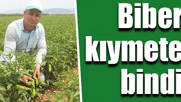 Fiyatlar yüzde 30 arttı