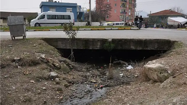 Fosseptik çukurlarında Fareler cirit atıyor!