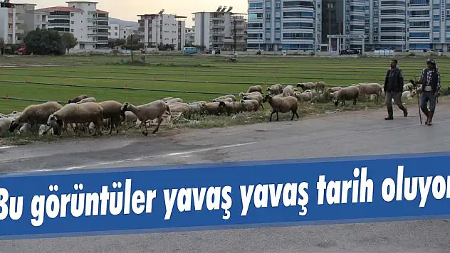 Bu görüntüler yavaş yavaş tarih oluyor