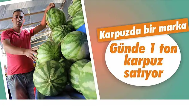 Günde 1 ton karpuz satıyor