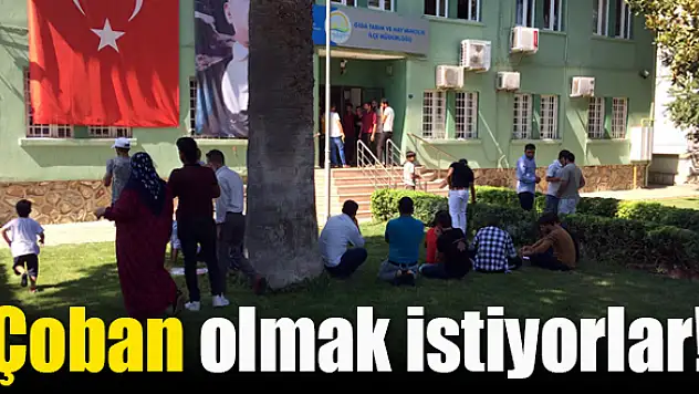 Günlük 105 tl alacaklar