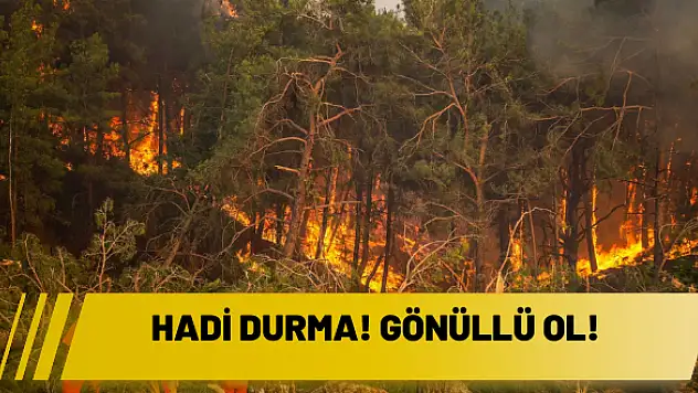 Hadi durma! Gönüllü ol!