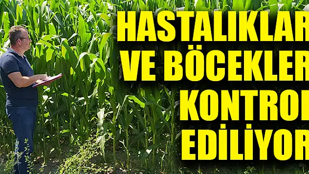 Hasadı yaklaşan ürünler mercek altında