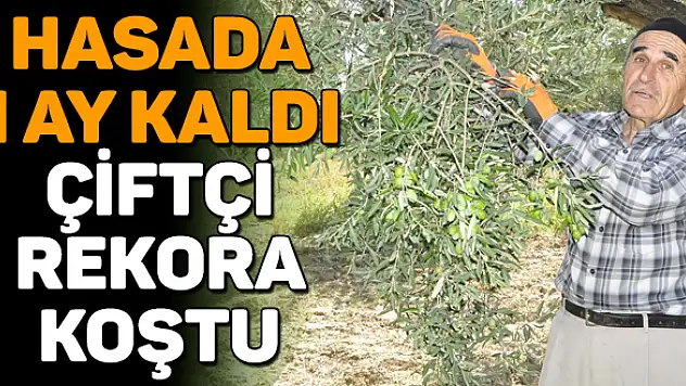 Hasat hazırlığı!