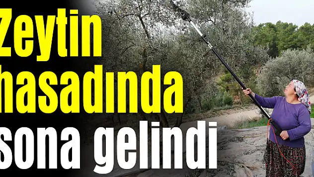 Hasat üreticiyi memnun etmedi