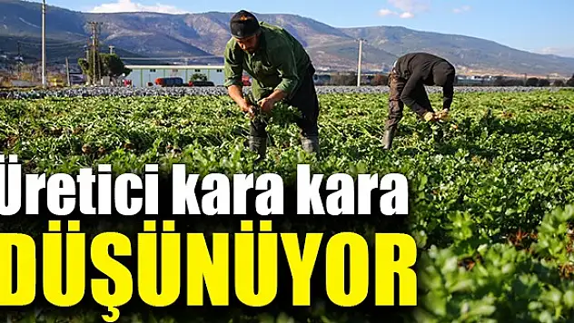 Havaların ısınması üreticiye yaramadı!
