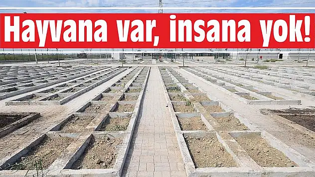 Hayvana var, insana yok!