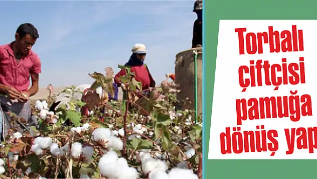 Hedef 100 bin dekar!