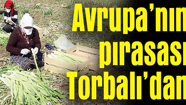 Her yıl 3 bin ton ihraç ediliyor