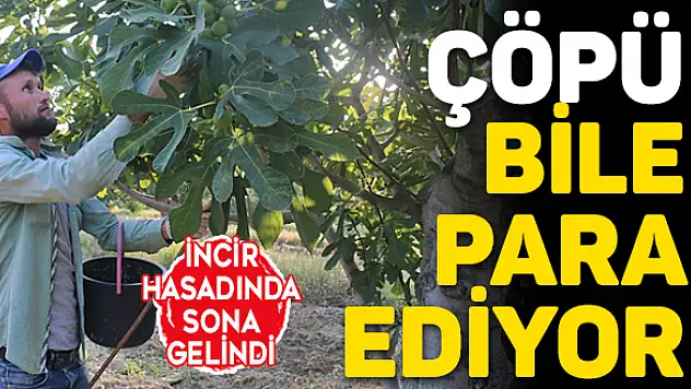 Herşeyi para ediyor