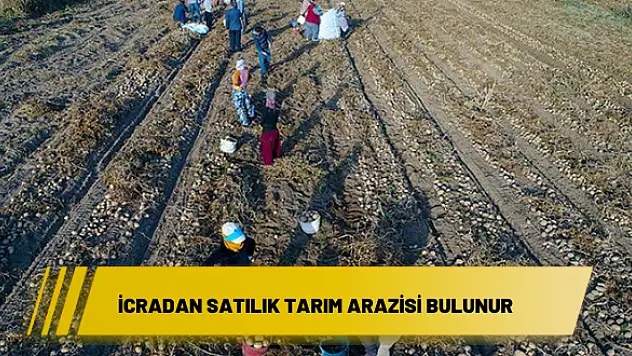 İcradan satılık tarım arazisi bulunur