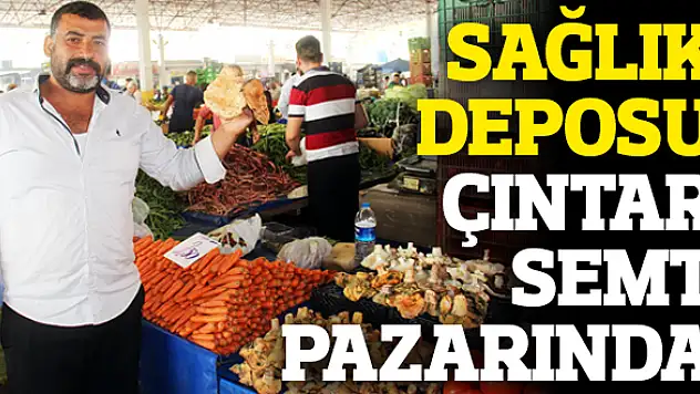 İlk çıntarlar Ödemiş’ten