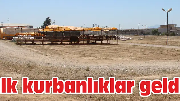 İlk kurbanlıklar Kars'tan