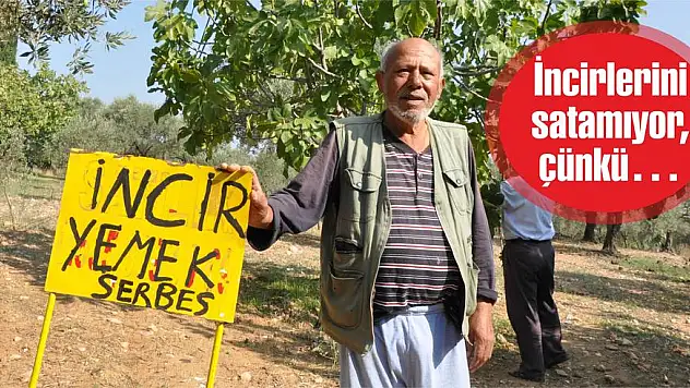 İncirlerini satamıyor, çünkü…
