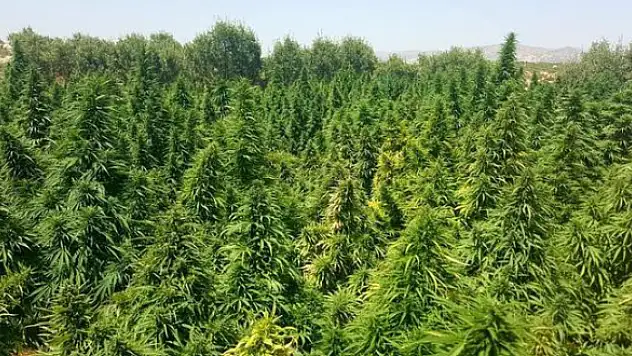 Bu işi isteyenlere çok önemli uyarı: Son gün 1 Nisan