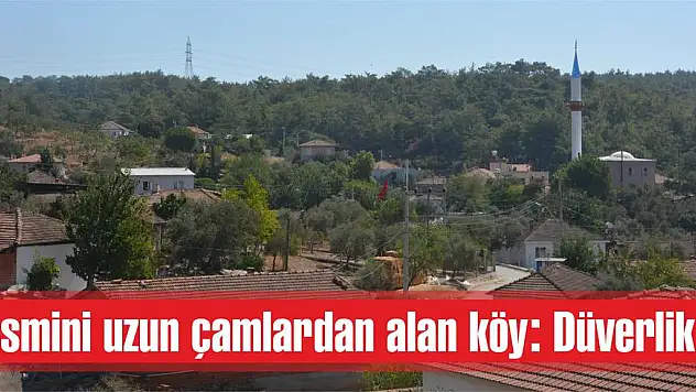 İsmini uzun çamlardan alan köy: Düverlik