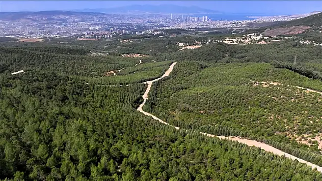 İzmir'de ormanlara giriş yasağı başladı