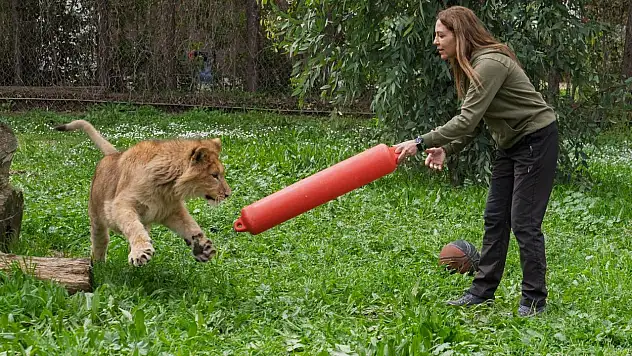 İzmir Doğal Yaşam Parkı özel bir konuğu ağırlıyor