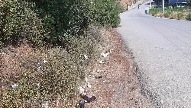 İzmir'in dağlarında çöpler açıyor!