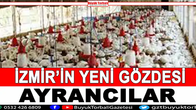 İzmir'in yeni gözdesi Ayrancılar