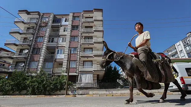 Japon turist eşeği ile Torbalı'ya geldi