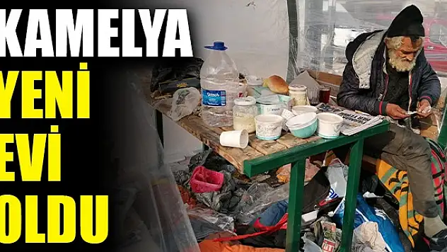 KAMELYA YENİ EVİ OLDU