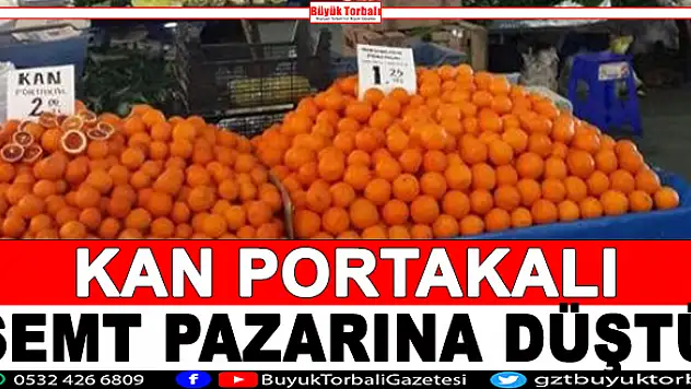 Kan portakalı semt pazarına düştü
