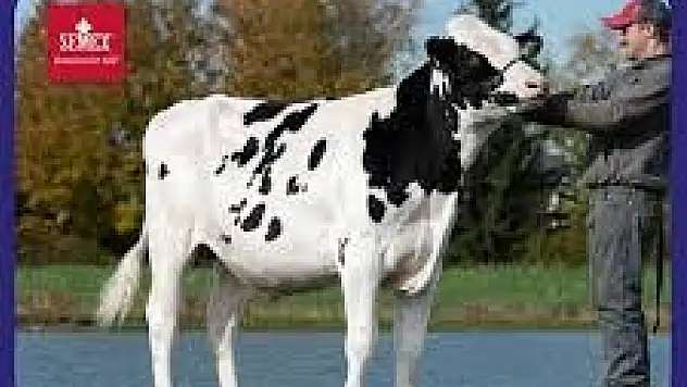 KarVet, Ödemiş Tarım Fuarı'nda yenilikçi ürünleriyle göz dolduruyor