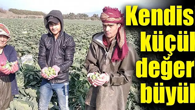 Kendisi küçük değeri büyük