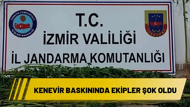 Kenevir baskınında ekipler şok oldu