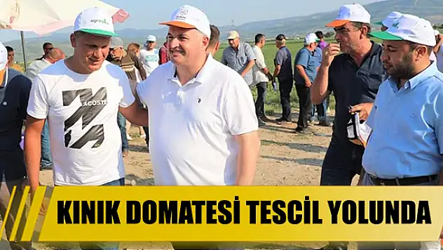 “Kınık domatesi” tescil yolunda