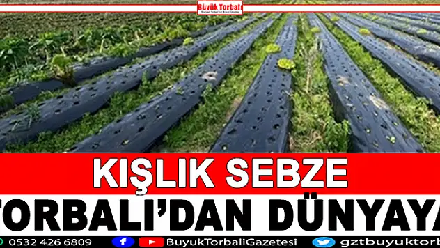 Kışlık sebze Torbalı'dan dünyaya dağılıyor