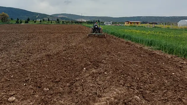 KIŞLIK TARIMDAN ZARAR EDEN ÜRETİCİ DOMATESİ BORÇLA EKTİ