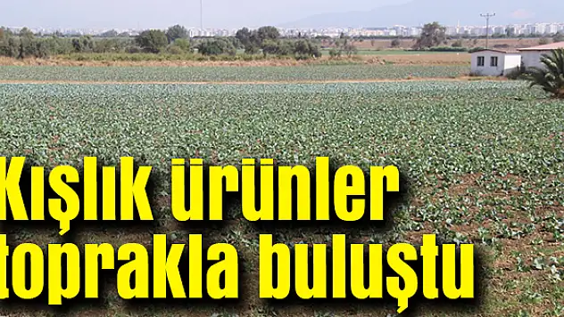 Kışlık ürünler toprakla buluştu