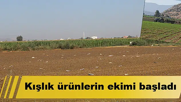 Kışlık ürünlerin ekimi başladı