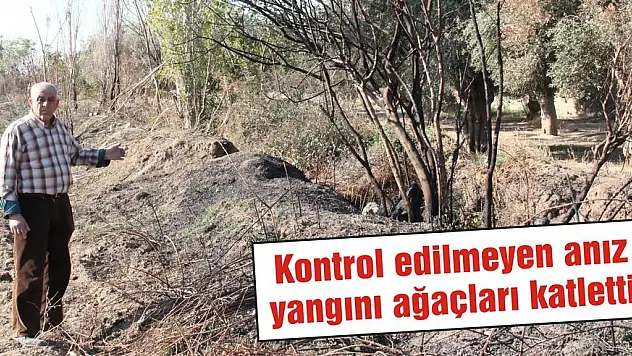 Kontrol edilmeyen anız yangını ağaçları katletti