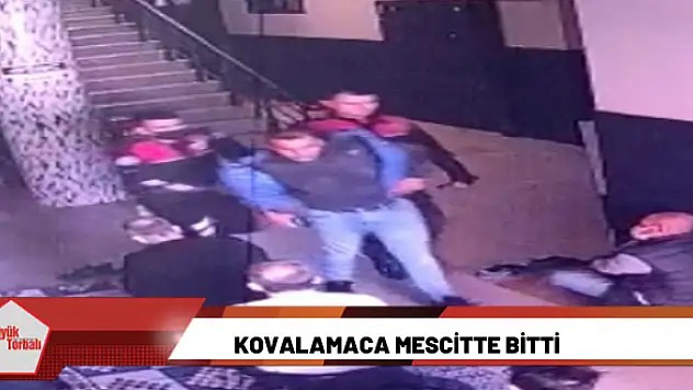 Kovalamaca mescitte bitti
