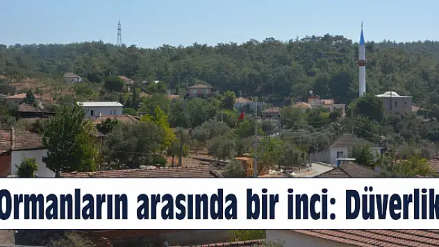 Köyün adı çamlardan geliyor