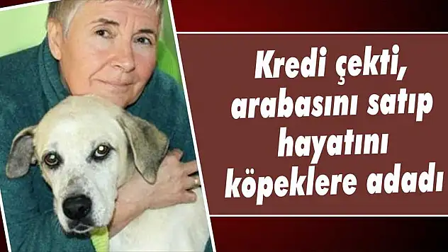 Kredi çekti, arabasını satıp hayatını köpeklere adadı