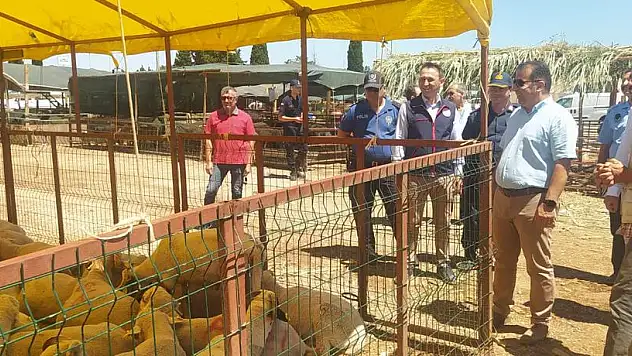 Kurbanlıklar denetlendi