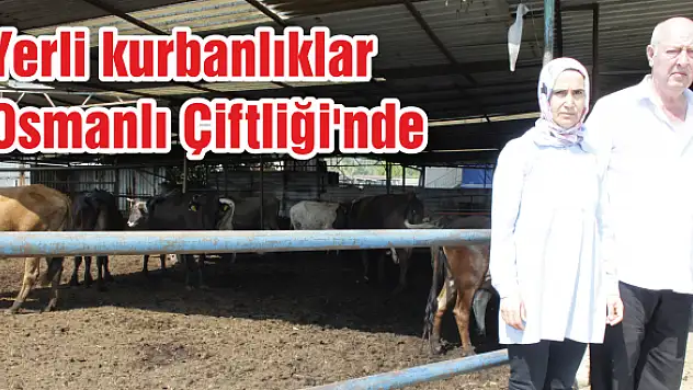 Kurbanlıklar kredi kartına 4 taksit